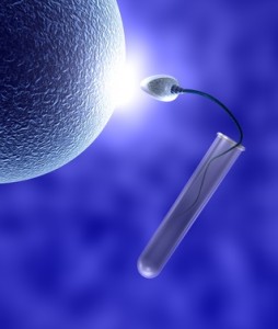 Spermiogenese Fruchtbarkeit